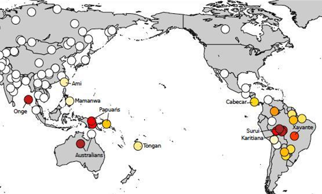 DNA heat map