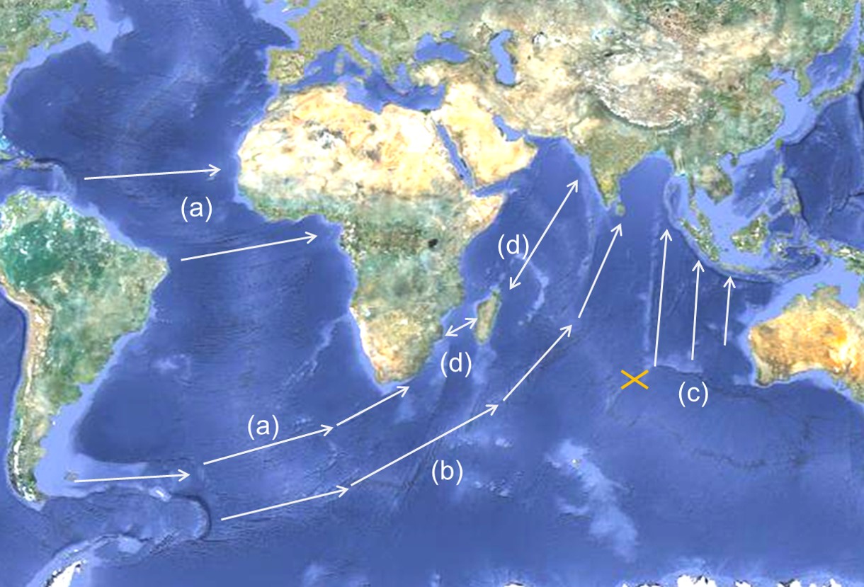Simultaneous Impacts Fig2 April 2020